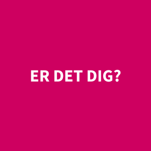 PKAE_karriere_erdetdig